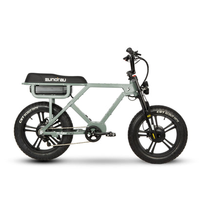 FLASH AWD 1.0 - Dual Motor