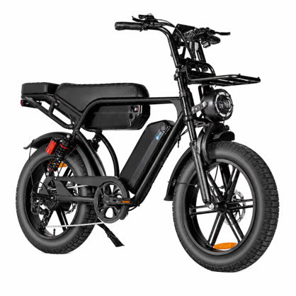 Coastline Voyager - Dual Battery
