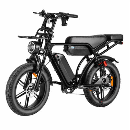 Coastline Voyager dual battery electric bike