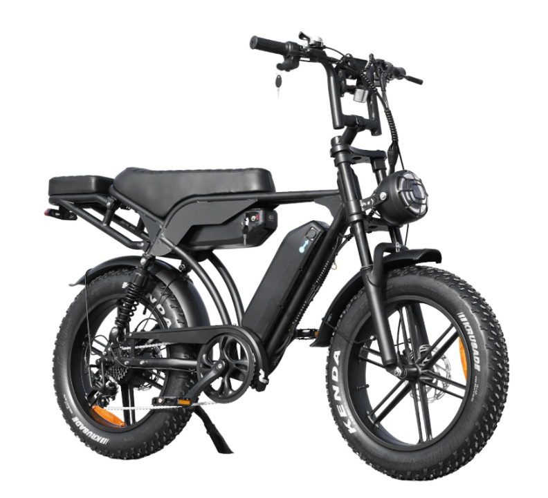 coastline ebikes fat tyre ebike dual battery v29