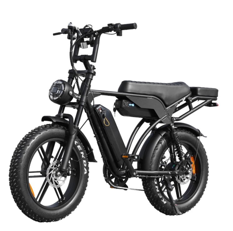 coastline-ebikes-fat-tyre-dual-battery.jpg
