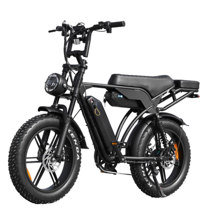 coastline-ebikes-fat-tyre-dual-battery.jpg
