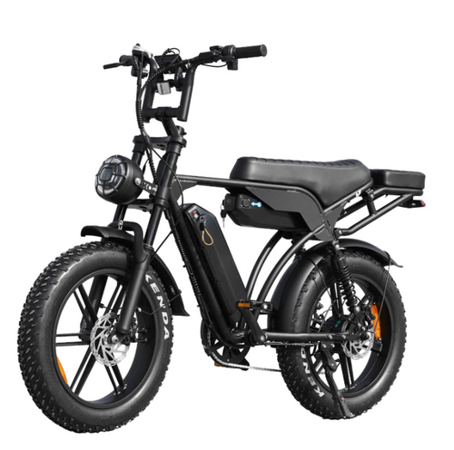 coastline-ebikes-fat-tyre-dual-battery.jpg
