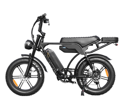 coastline ebikes fat tyre ebike dual battery v29