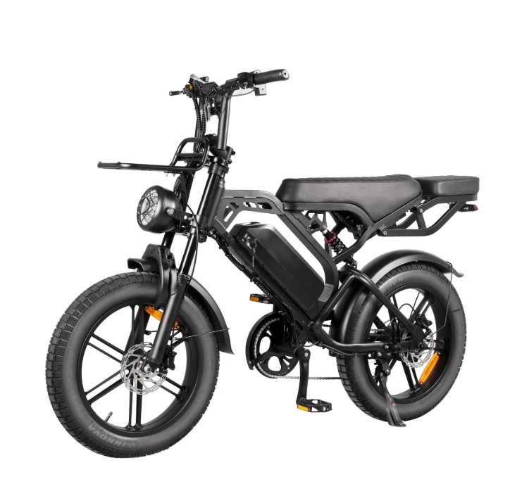 coastline ebikes fat tyre ebike v20pro