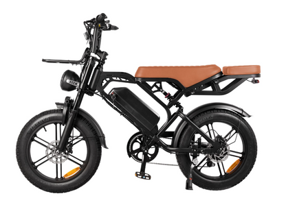 coastline ebikes fat tyre ebike v20pro