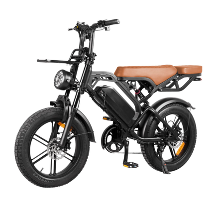 coastline ebikes fat tyre ebike v20pro